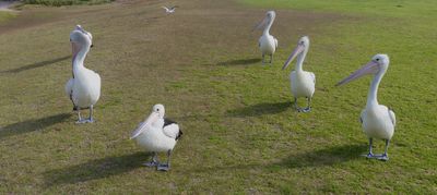 g13/88/551388/3/175078778.67d043c0.JPEG
