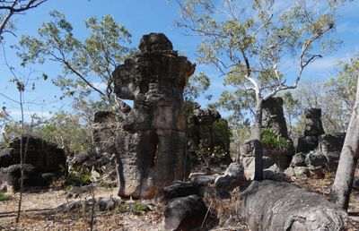 Lost City, Litchfield National Park, NT