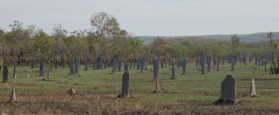 darwin_kakadu_litchfield_nt