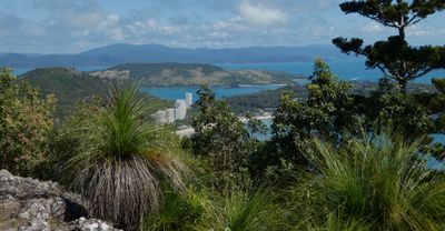 Hamilton Island