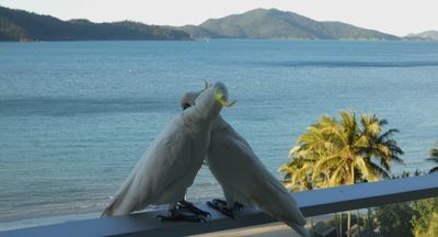 hamilton_island_aug_2025