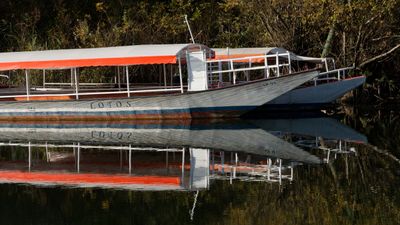 skadar