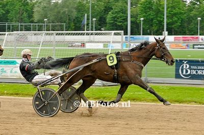 Koers 4. Michelle W1.jpg