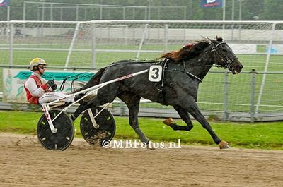 Koers 5. Magic Schermer1.jpg