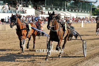 Koers 4. Michelle W1.jpg