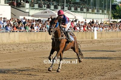 Koers 5. Kolk P1.jpg