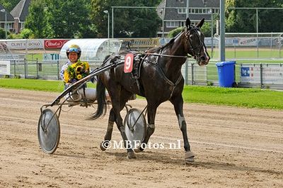 Koers 3. Vikens Whoknow4.jpg