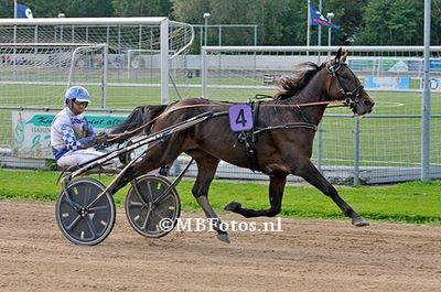 Koers 8. Novato1.jpg