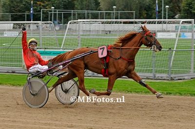 Koers 10. Gregor1.jpg