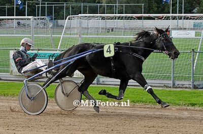 Koers 4. Michelle W1.jpg