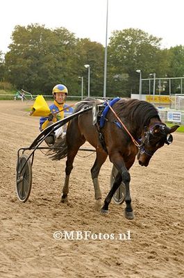 Koers 6. Dream Burgerheide3.jpg