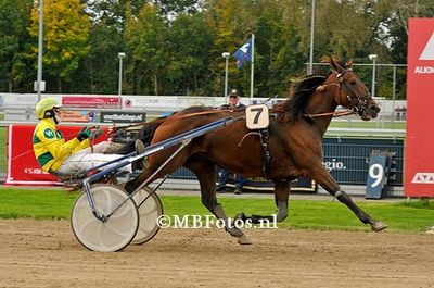 Koers 7. Luckystar Filli1.jpg