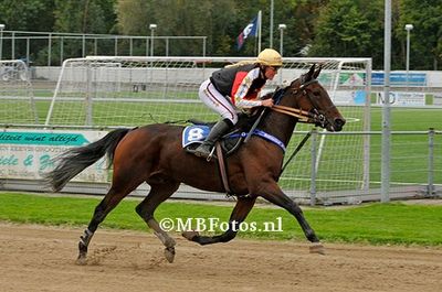 Koers 8. Mercedes Star1.jpg