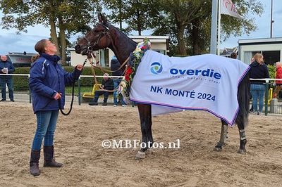 Koers 8. Mercedes Star4.jpg