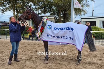 Koers 8. Mercedes Star5.jpg