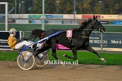Koers 8. Mick N. Boko1.jpg