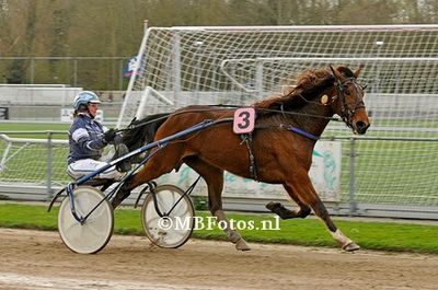 Koers 10. Noillusion1.jpg