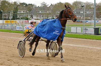 Koers 12. On my way4.jpg