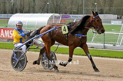 Koers 4. Oika Vrijthout3.jpg