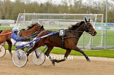 Koers 6. Magnifiquedelucia1.jpg