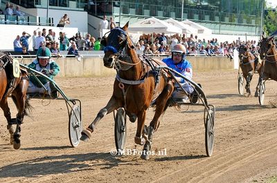 Koers 1. Moonshine Meadow1.jpg