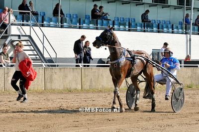 Koers 1. Moonshine Meadow3.jpg
