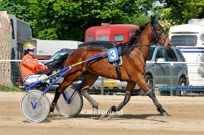 Europees kampioenschap amatrices