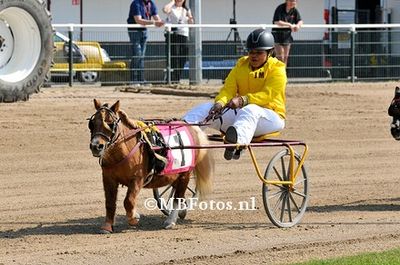Koers 1