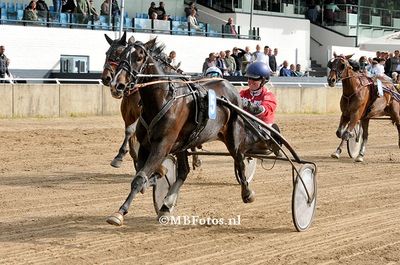 Koers 2. Vikens Whoknow1.jpg