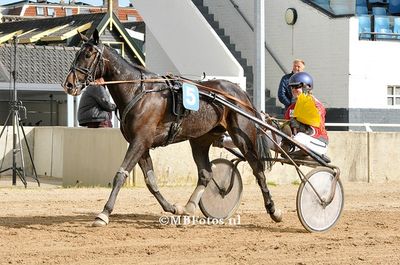 Koers 2. Vikens Whoknow3.jpg