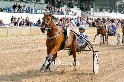 Koers 9. Idylle the Best.jpg