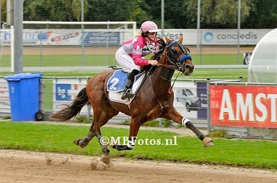 Koers 6. Moonshine Meadow1.jpg