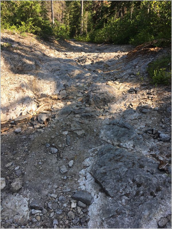 Gypsy Queen mine - Access road