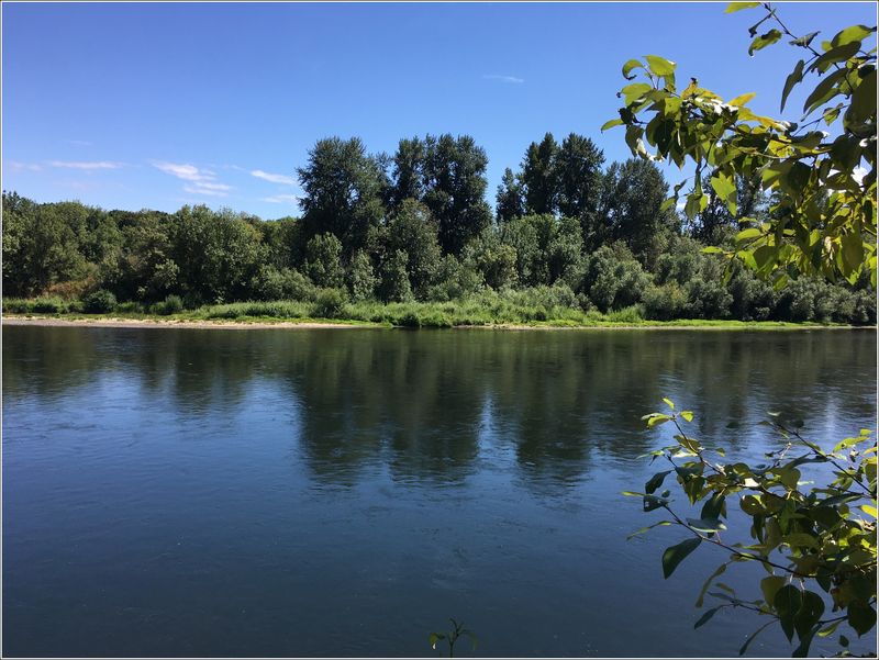 Willamette River