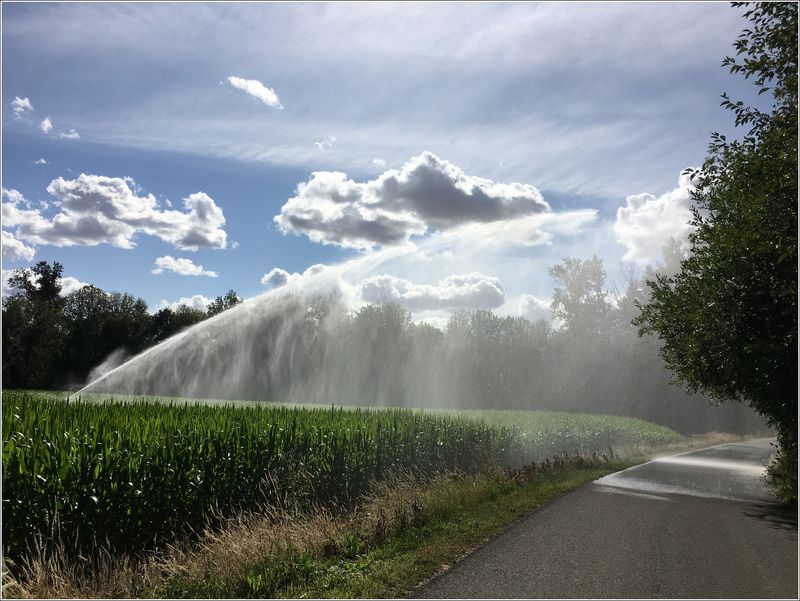 Sunny, high 86, chance of isolated heavy rain on road!