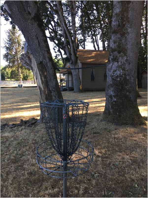 One Frisbee Golf basket in the park...  (2023-08-12)