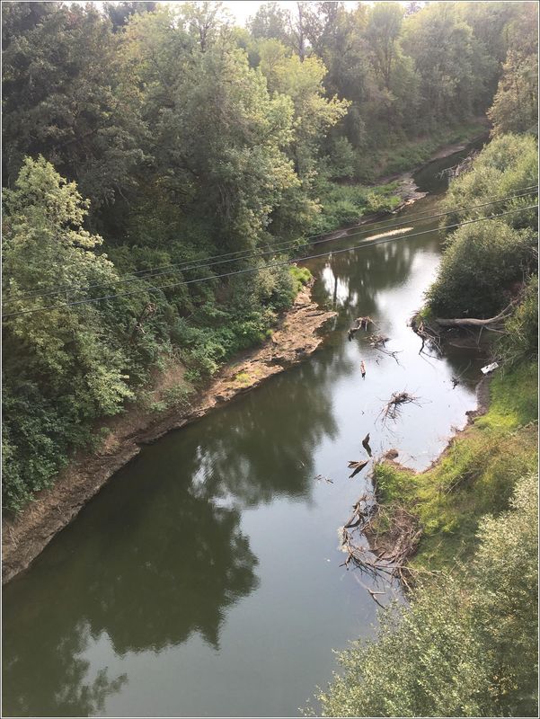 South Yamhill River (2023-08-23)