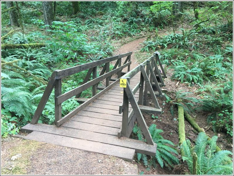 Nice trails, nice bridge hiding a cache (2023-09-11 )