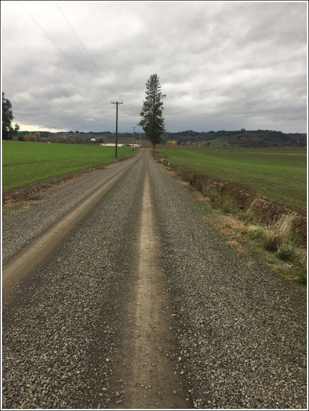 Nice gravel track after rains (2023-11-12)