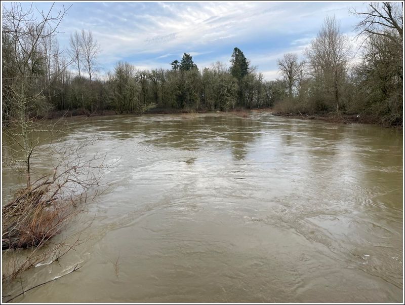 Belleview Hwy crossing S. Yamhill river (2024-01-29)