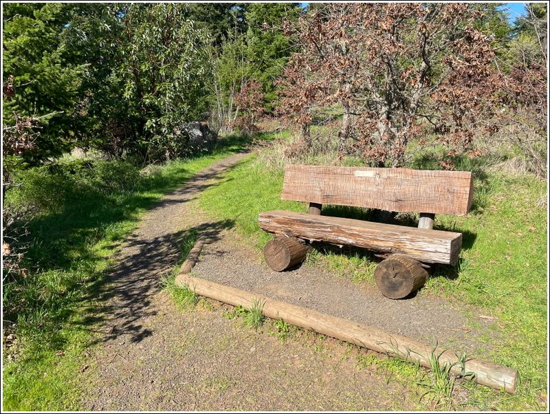 One of several benches (2024-04-02)