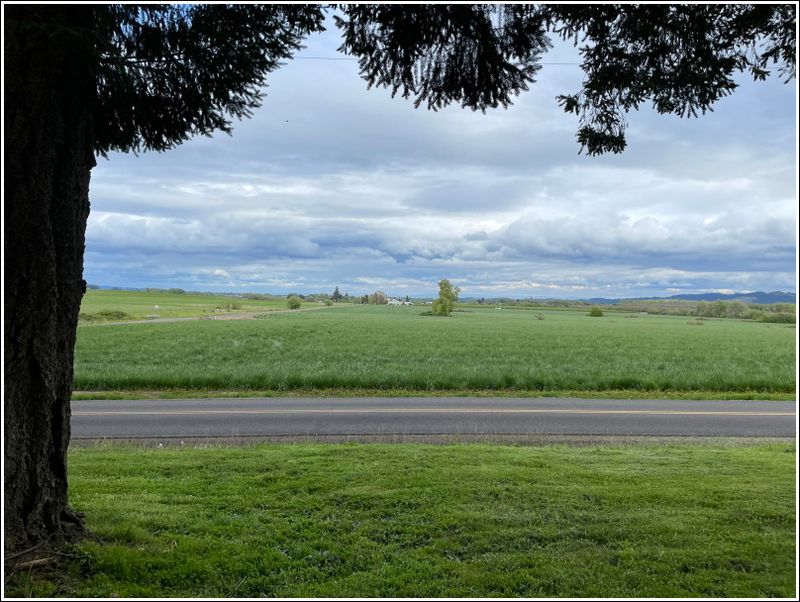 Looking east from South Yamhill Cemetery (2024-04-24)