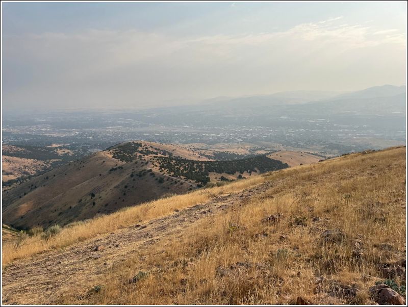 2024-Aug-133-Views.jpg