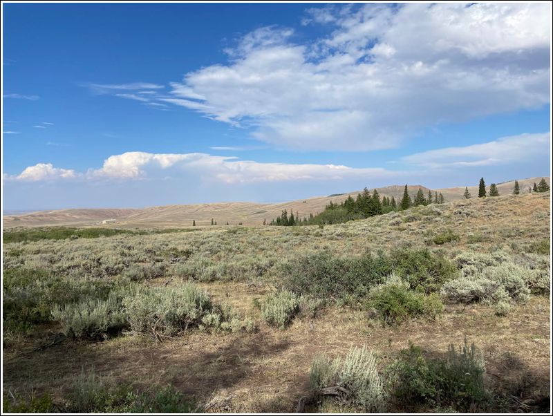 2024-Aug-184-CampViews.jpg
