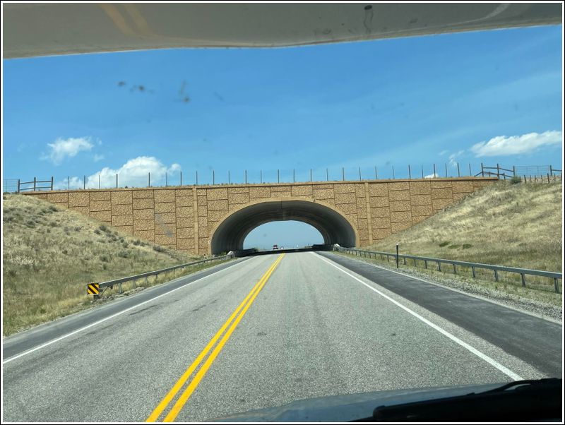 2024-Aug-538-WildlifeOverpass.jpg