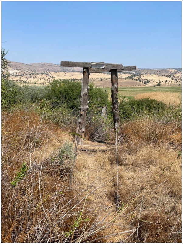 2024-Aug-754-FootBridgeCache.jpg