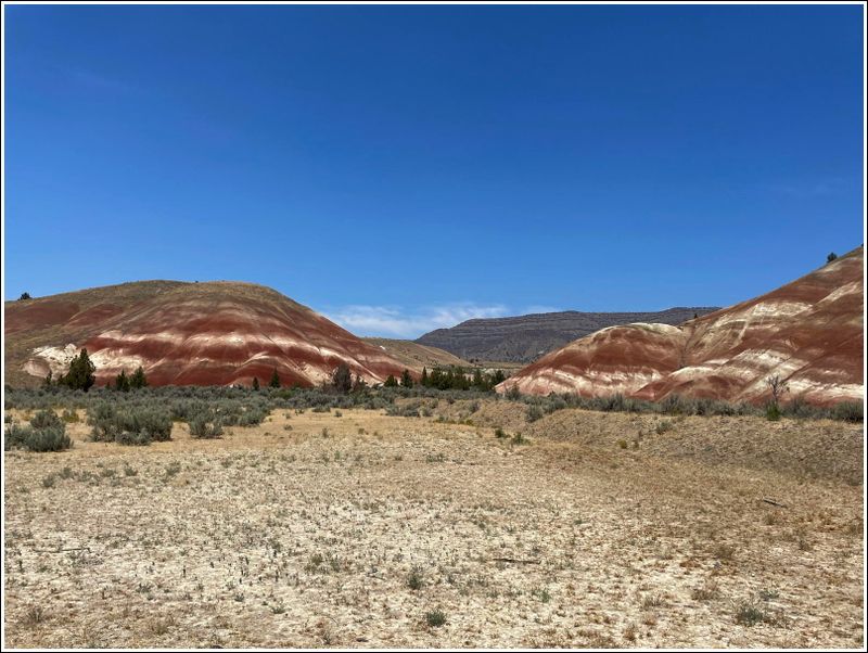 2024-Aug-795-PaintedHills.jpg