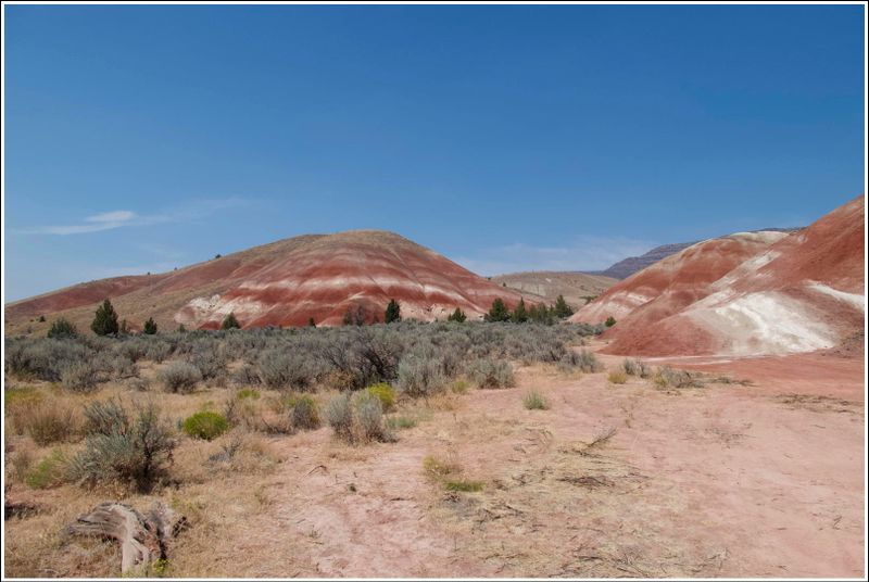 2024-Aug-838-PaintedHills.jpg