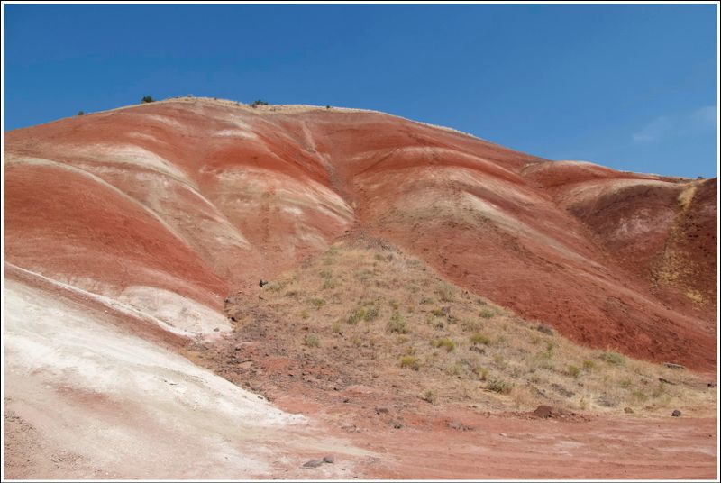 2024-Aug-839-PaintedHills.jpg