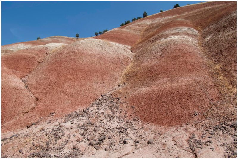 2024-Aug-841-PaintedHills.jpg